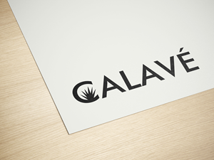 Logo Design by PixelCraft Designs for this project | Design #35577702