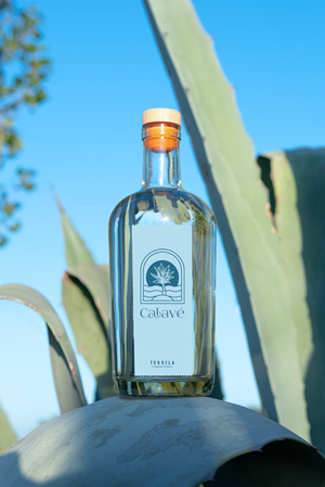 Logo Design by Roman Designs for this project | Design: #35555194