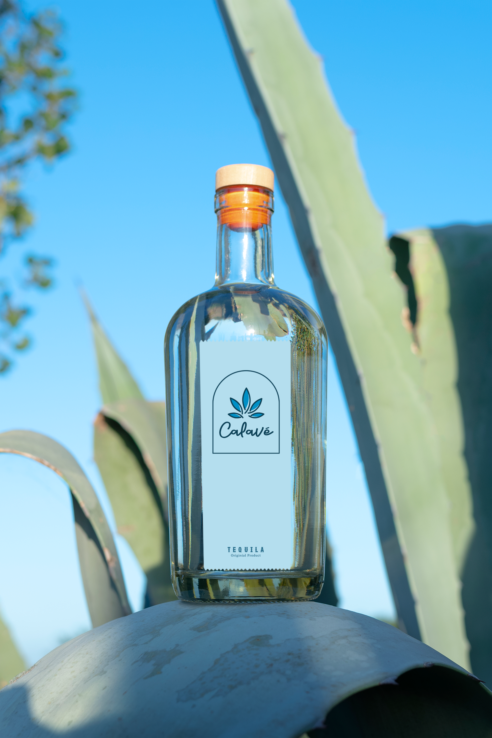 Diseño de Logo por Roman Designs para este proyecto | Diseño #35555251