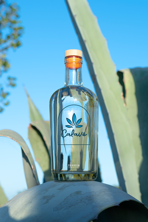 Diseño de Logo por Roman Designs para este proyecto | Diseño: #35555260