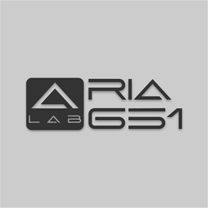Logo Design by e SOL2023