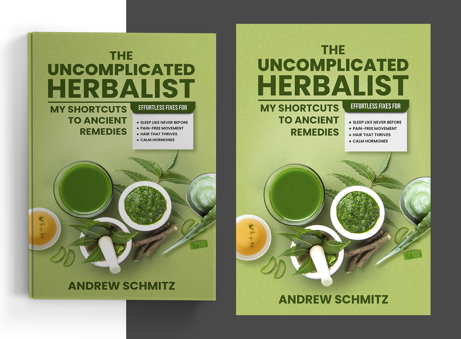 Diseño de portada de libro por Graphic Storm para este proyecto | Diseño #35571744