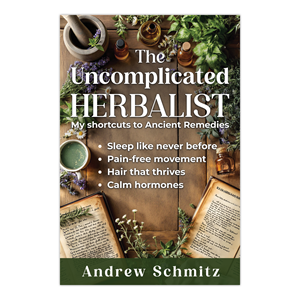 Book Cover Design by G T for this project | Design: #35553478