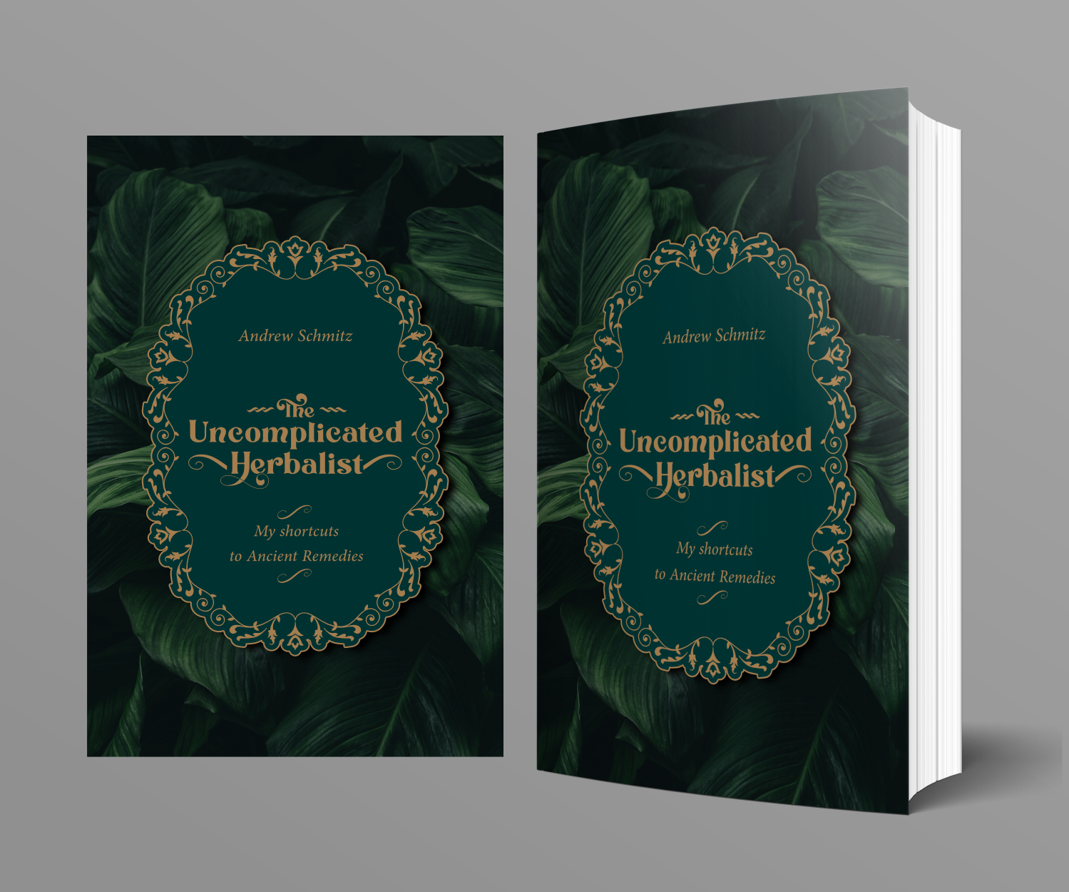 Diseño de portada de libro por ThiagoB para este proyecto | Diseño #35554515