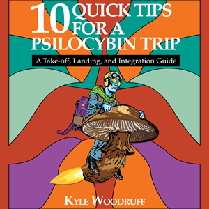 Book Cover Design by QWERTY graphics