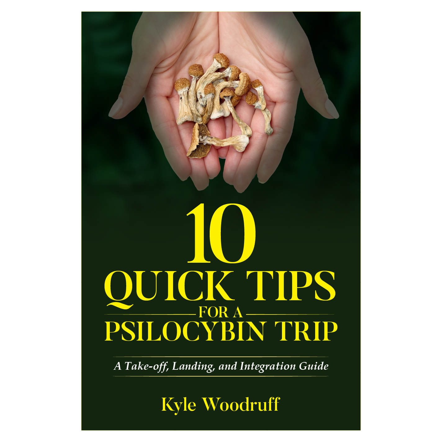 Diseño de portada de libro por abdul700 para este proyecto | Diseño #35563212