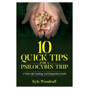 Diseño de portada de libro por abdul700 para este proyecto | Diseño: #35563212