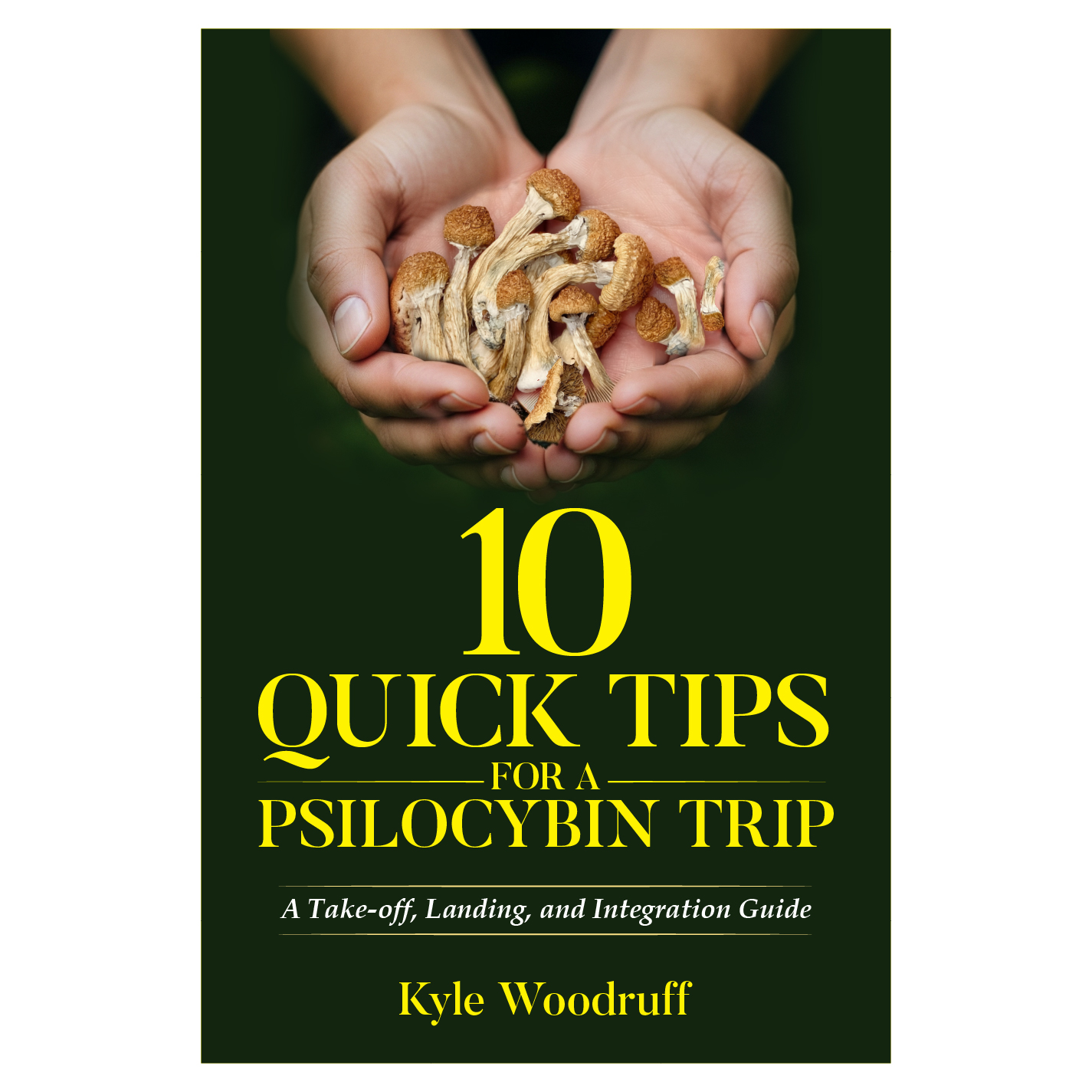 Diseño de portada de libro por abdul700 para este proyecto | Diseño #35563284