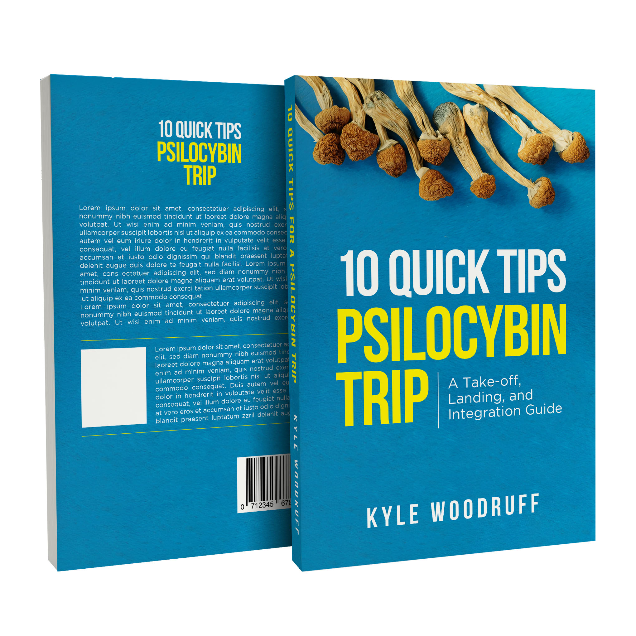 Diseño de portada de libro por abdul700 para este proyecto | Diseño #35563819