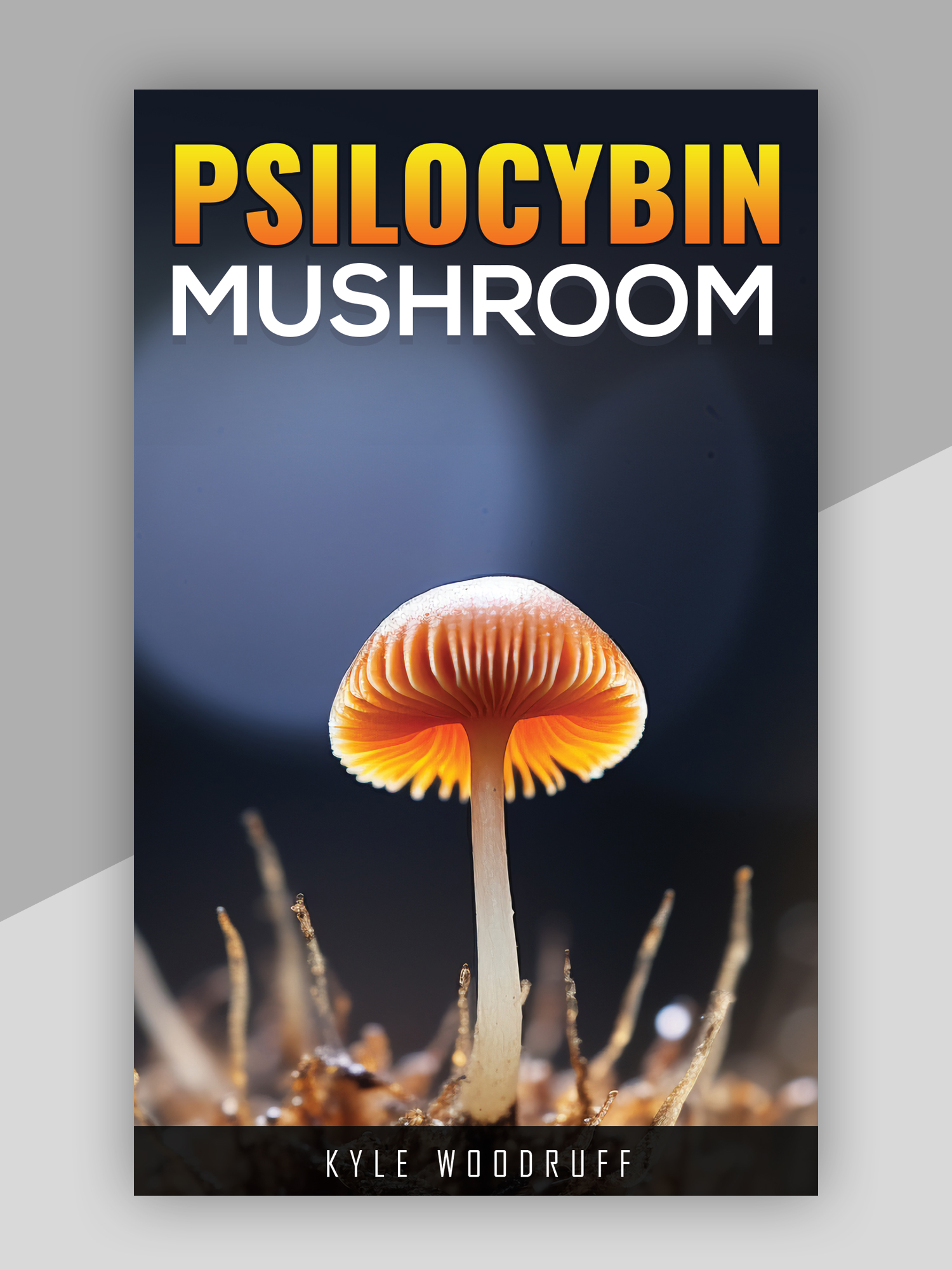 Book Cover Design by Pd Work for this project | Design #35565903