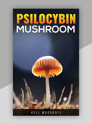 Book Cover Design by Pd Work