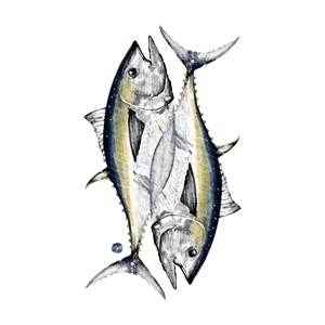 Graphic Design by bangkat for this project | Design: #36321608