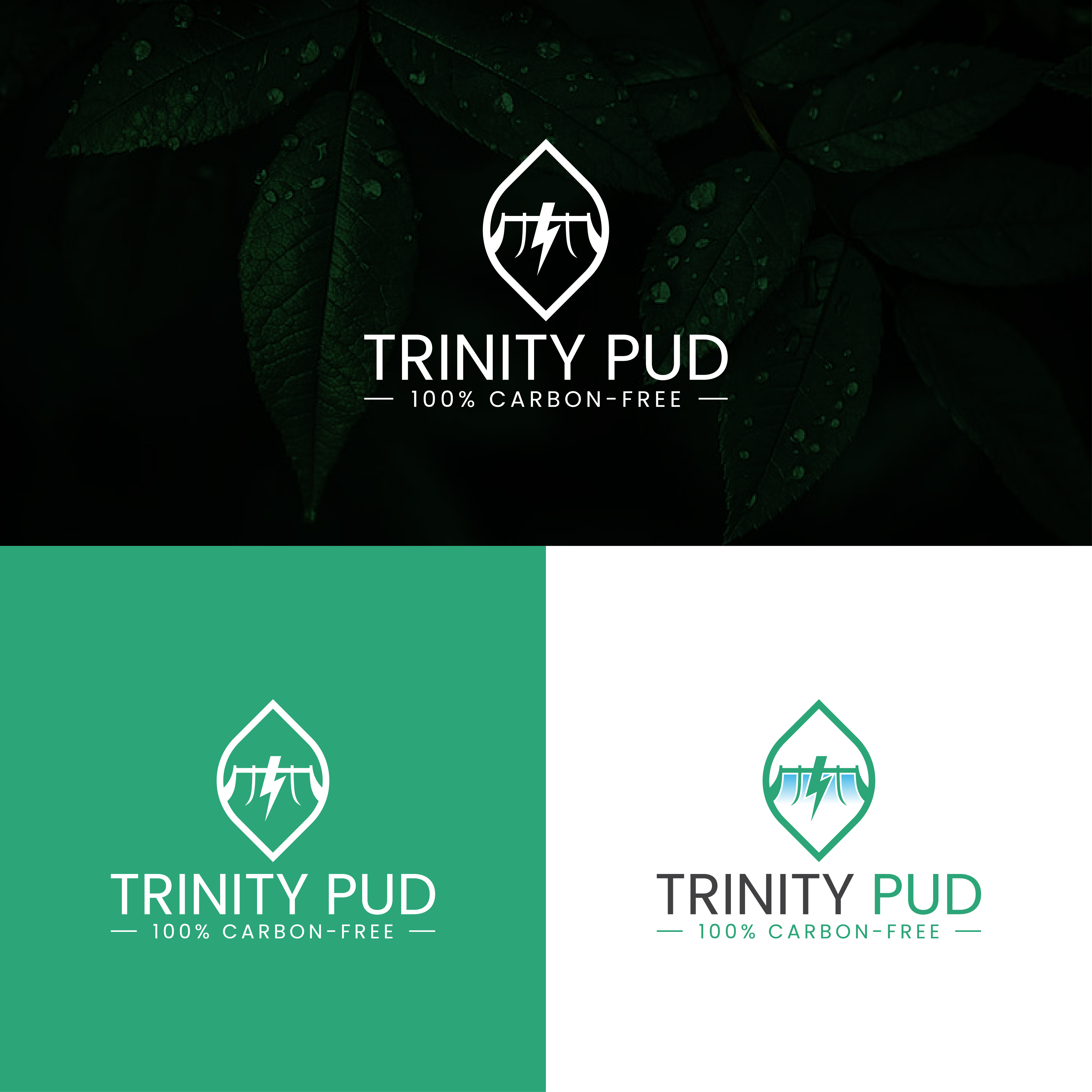 Design de Logo par Faisal28 pour Trinity Public Utilities District | Design #35602867