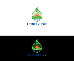 Logo Design by step forward 2 for Trinity Public Utilities District | Design: #35567084
