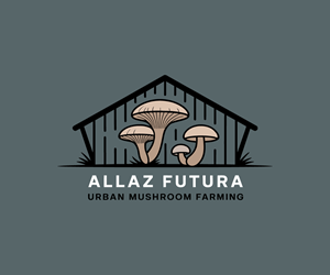 Design de Logo par Logo Cares01 pour ce projet | Design : #35566834