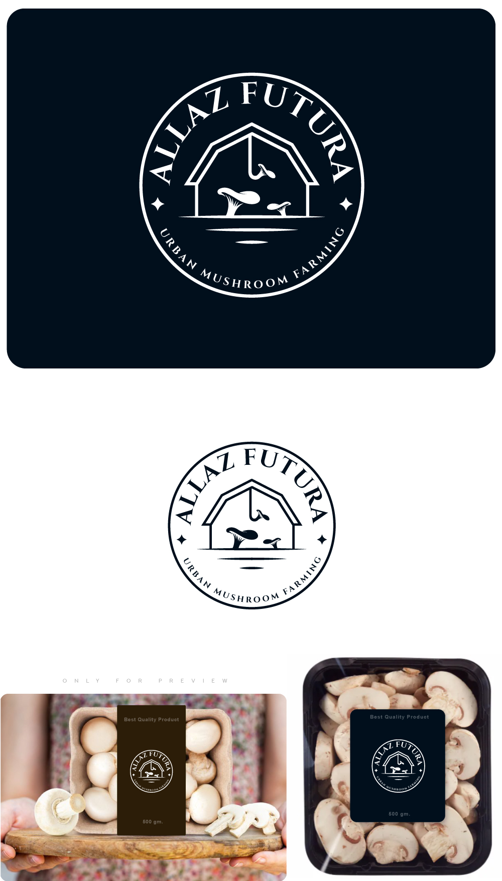 Logo Design by SolDesign for this project | Design #35567752