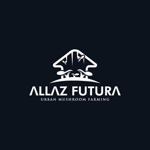 Logo Design by Visionarydexiner