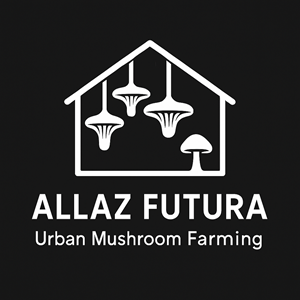 Logo Design by Logo Editing Master for this project | Design: #35566515