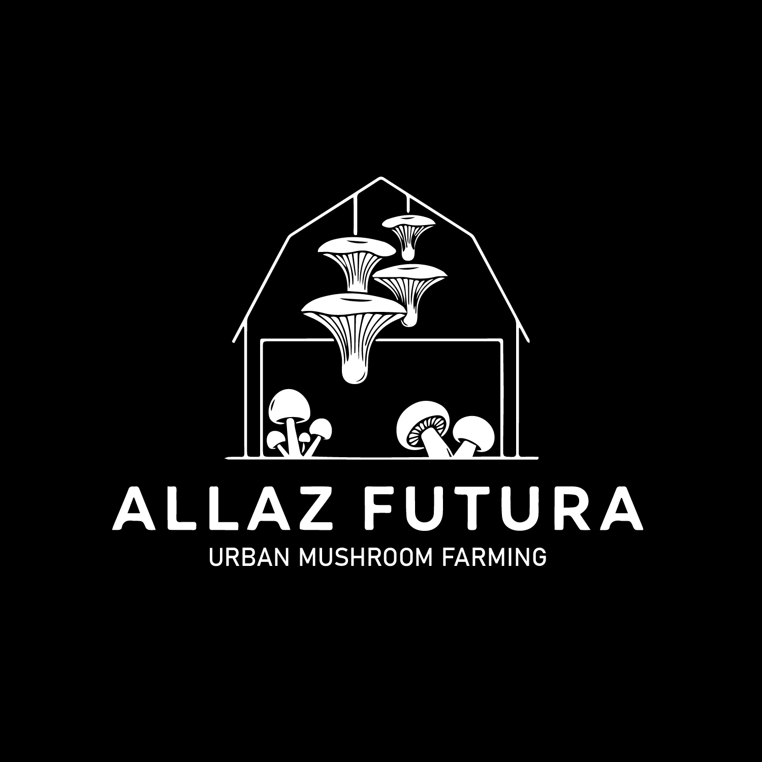 Logo Design by designs by Dylan for this project | Design #35567676