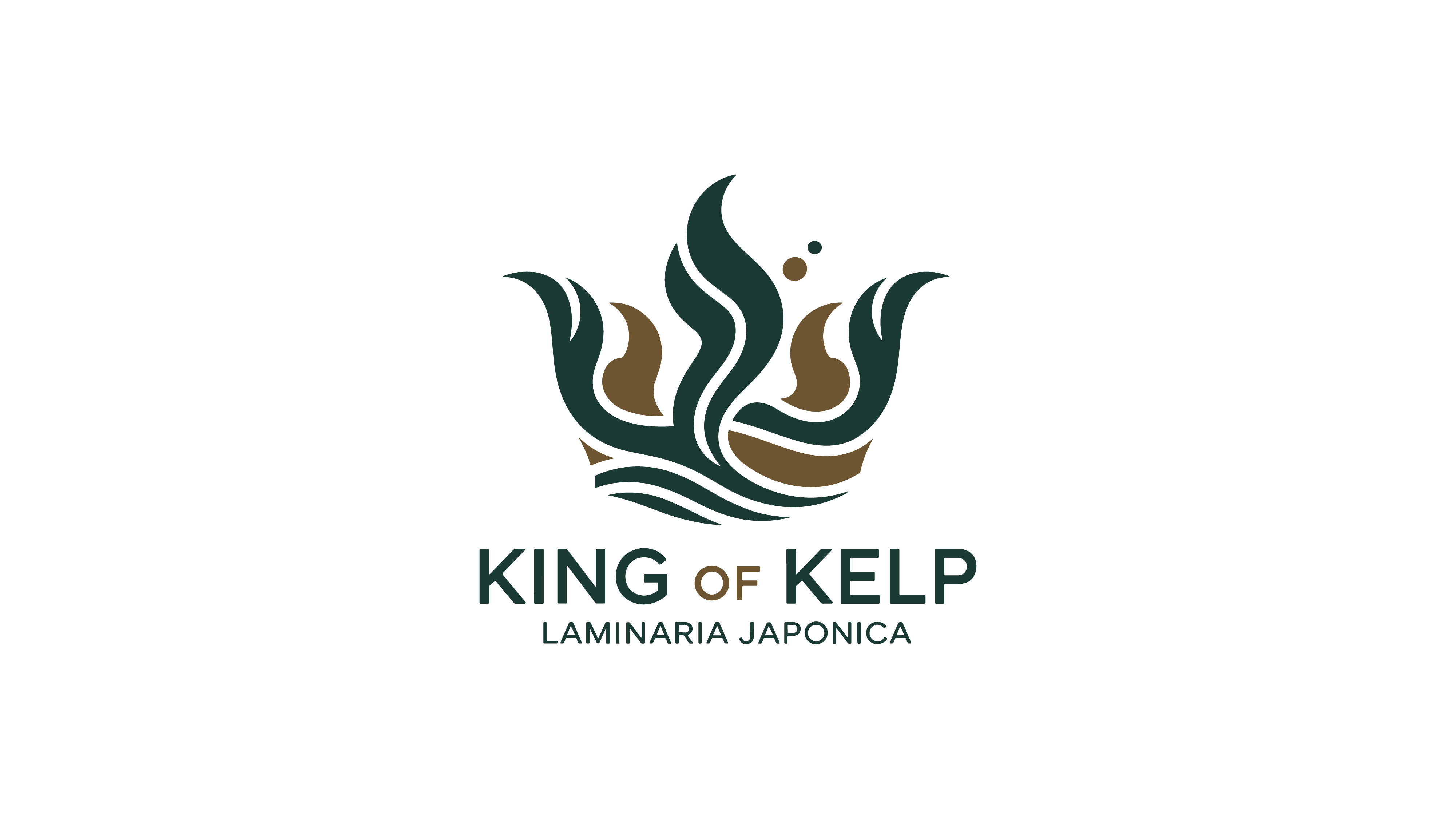 Logo Design by BabyDriverFour for this project | Design #35565183