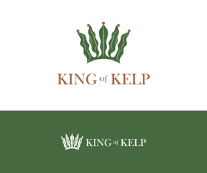 Logo Design by DesignShaper