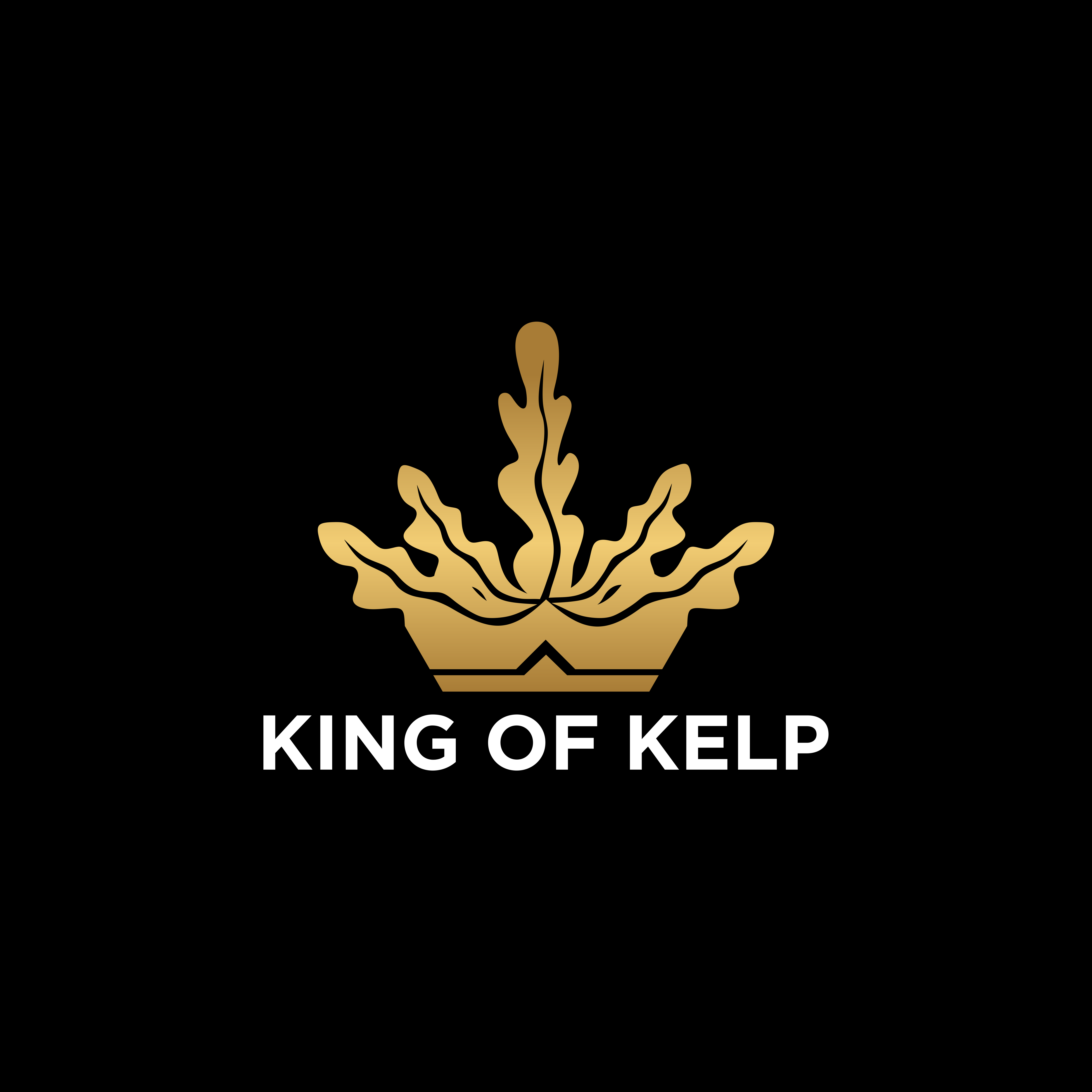 Logo Design by Astro D for this project | Design #35573961