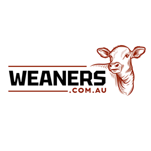 Logo Design by Franabanana