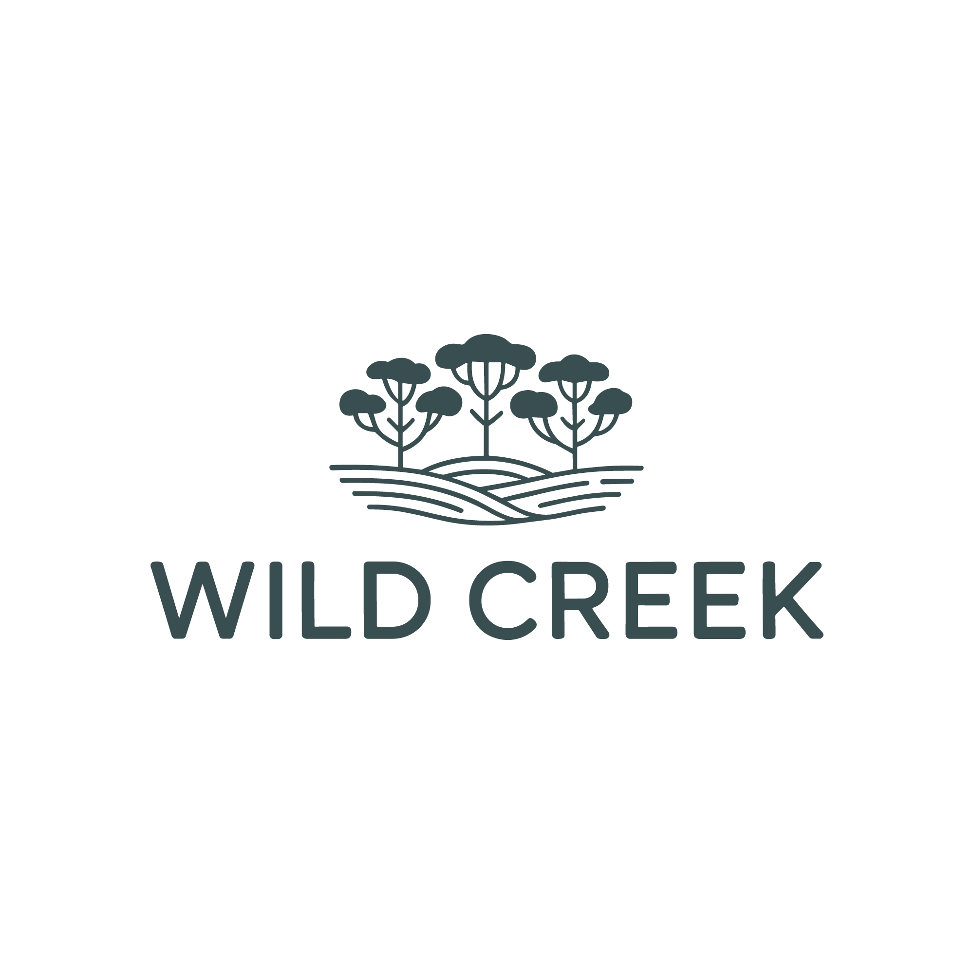 Logo Design by USIAD ANAS for this project | Design #35573846