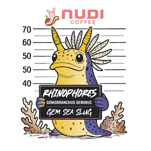 Design Graphique by {mega- for this project | Design : #35583645