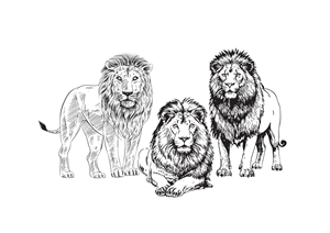Tattoo Design by Creative D2024 for this project | Design: #35622049