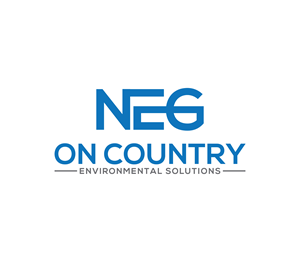 Logo Design by Nova_Create for this project | Design: #35597129