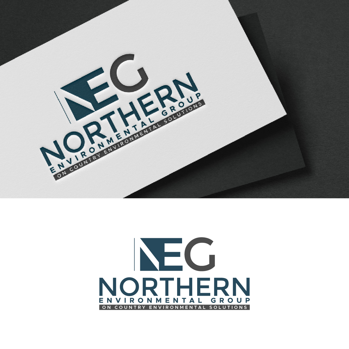 Design de Logo par fly  design pour ce projet | Design #35601086