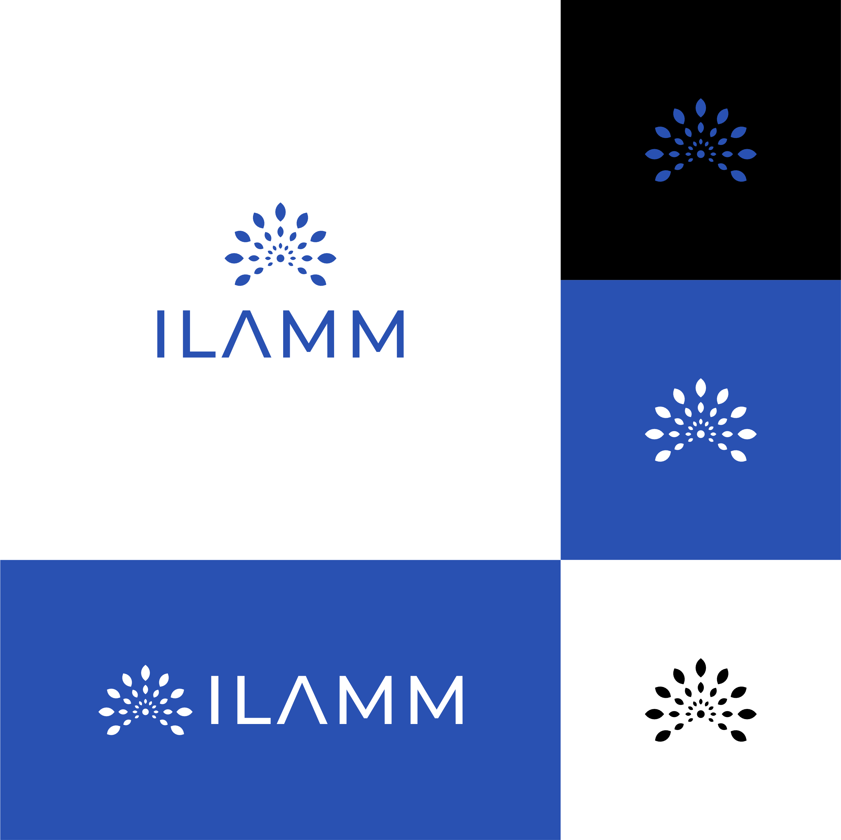 Logo-Design von ander sky dc für dieses Projekt | Design #35604947