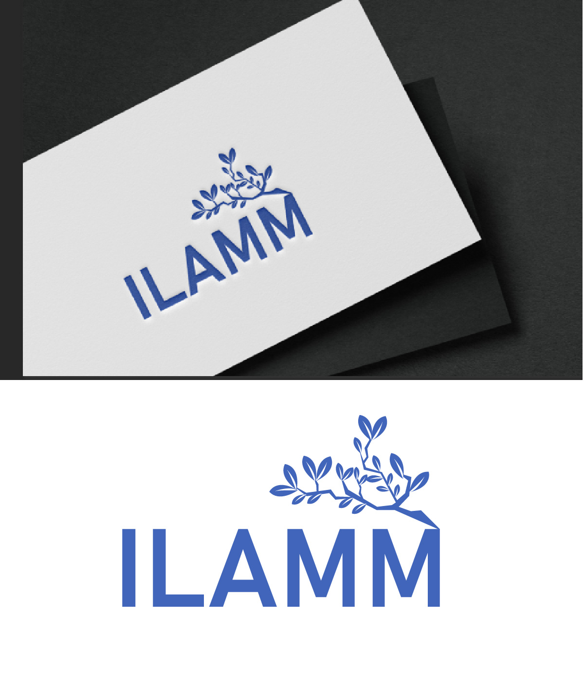 Logo Design by fly  design for this project | Design #35607278