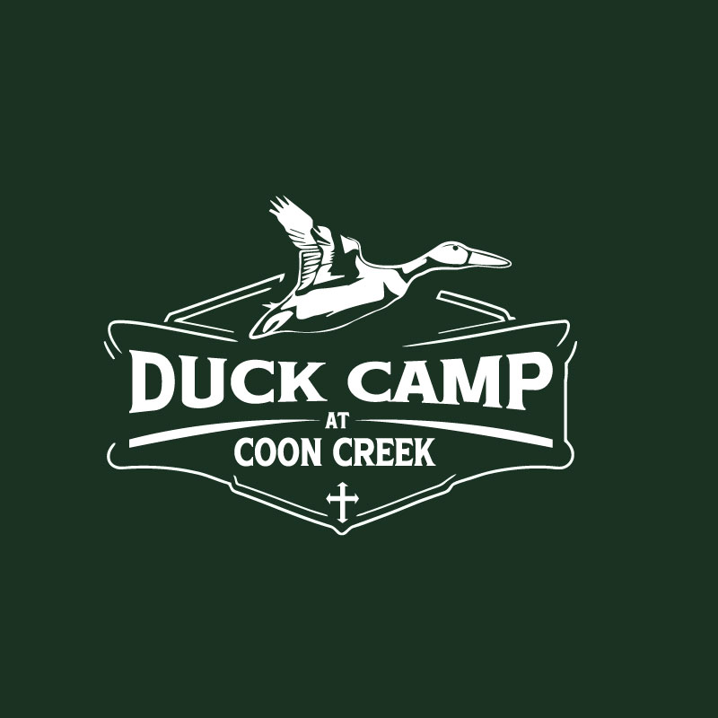 Design de Logo par VisionCraft™ pour Credit Now Auto Sales  | Design #35589033