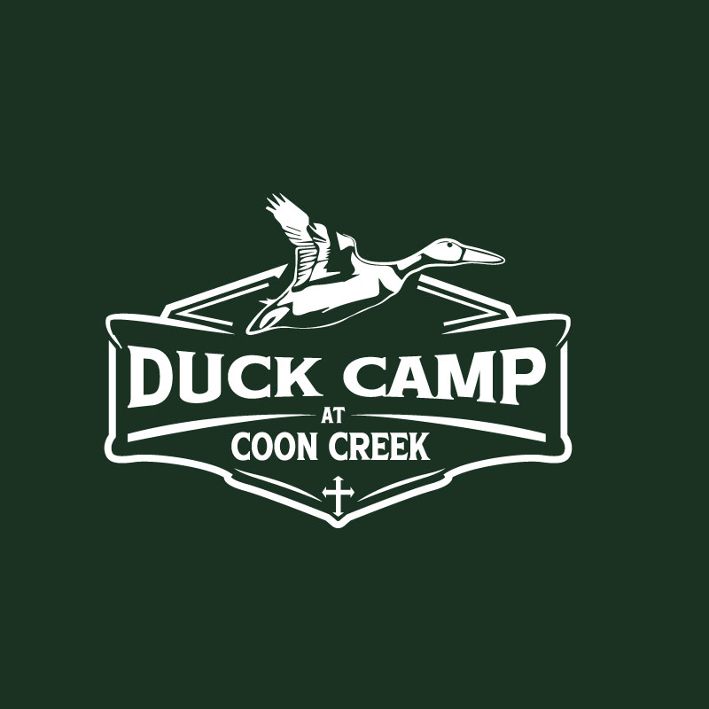 Design de Logo par VisionCraft™ pour Credit Now Auto Sales  | Design #35589035