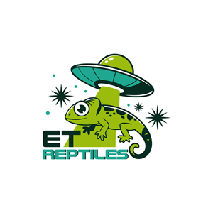 Logo Design by Designz Zone