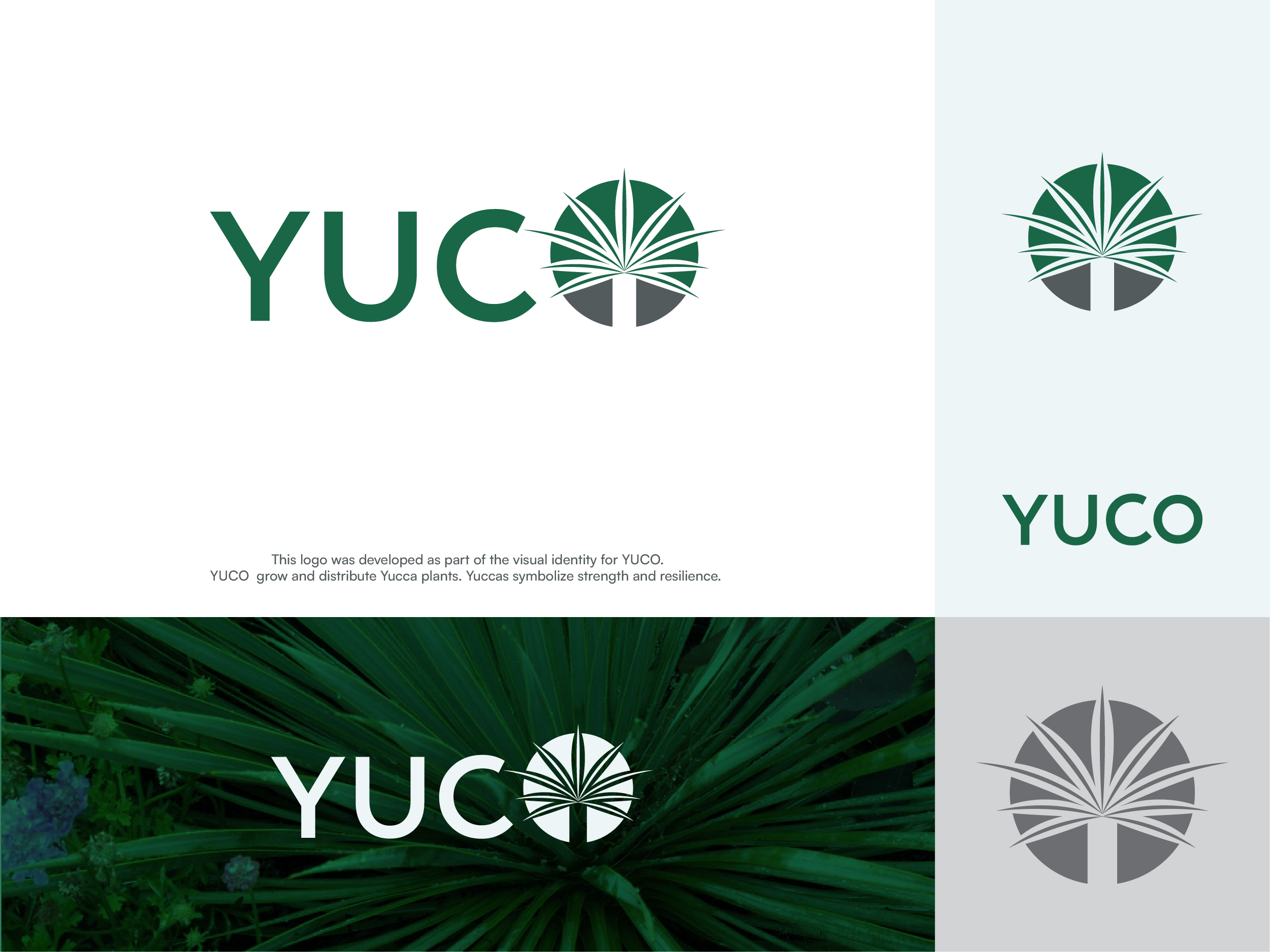 Diseño de Logo por logospot studio para este proyecto | Diseño #35701694