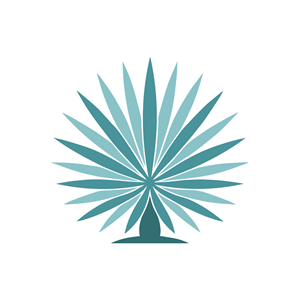 Logo Design by phraimsondesign