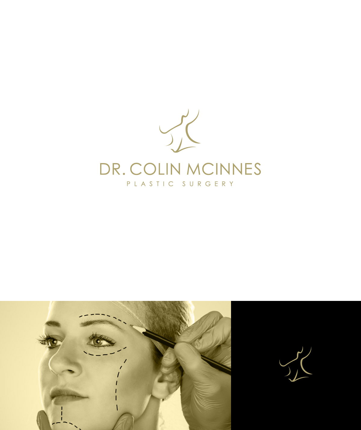 Logo Design by apik. for Dr. McInnes Plastic Surgery | Design #35626814