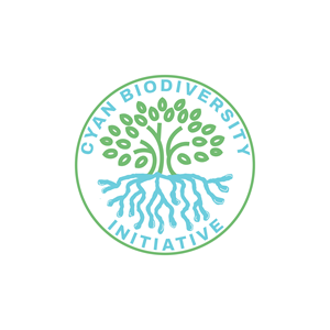 Logo Design by Jhannel55