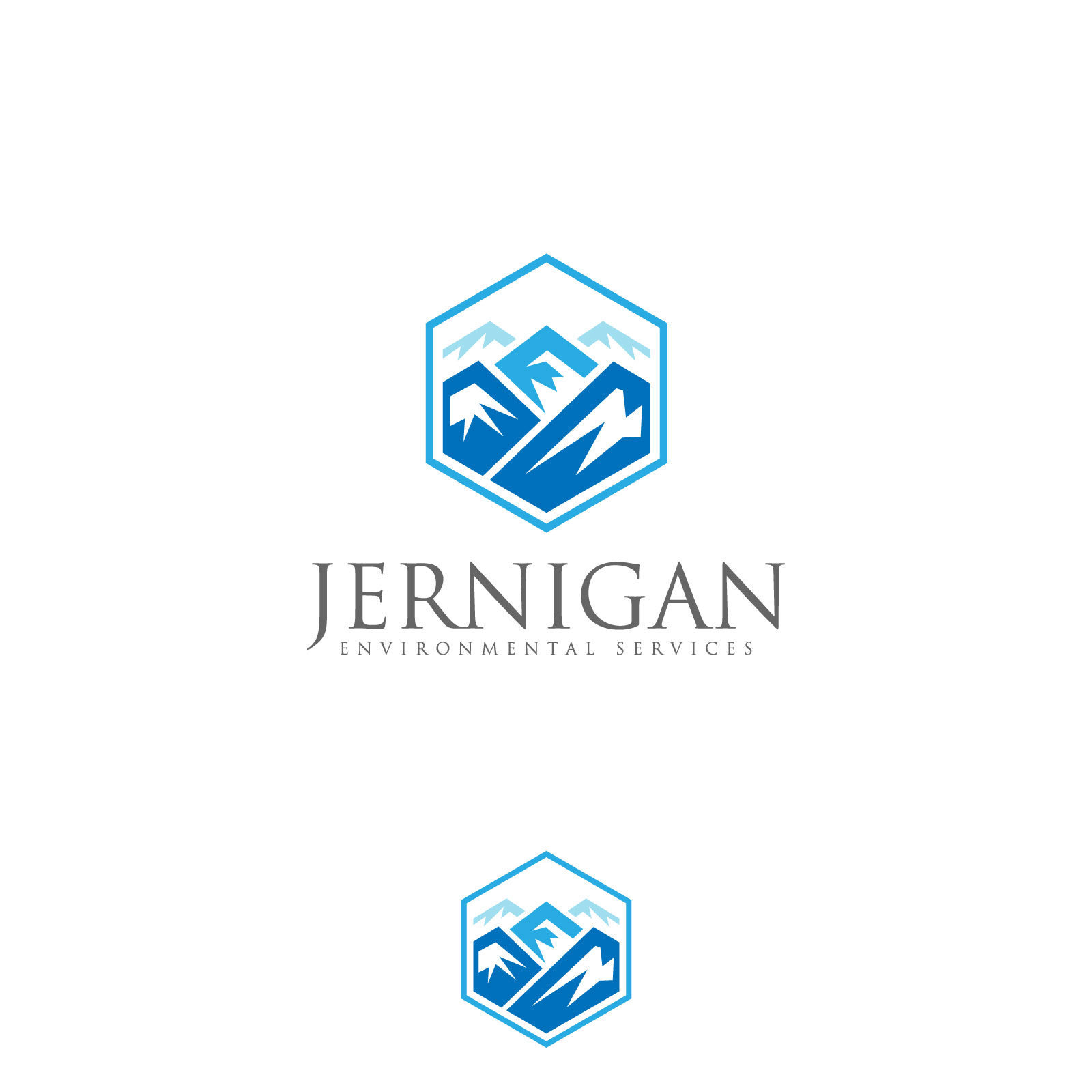 Logo Design by Suvendu.S for this project | Design #35635263