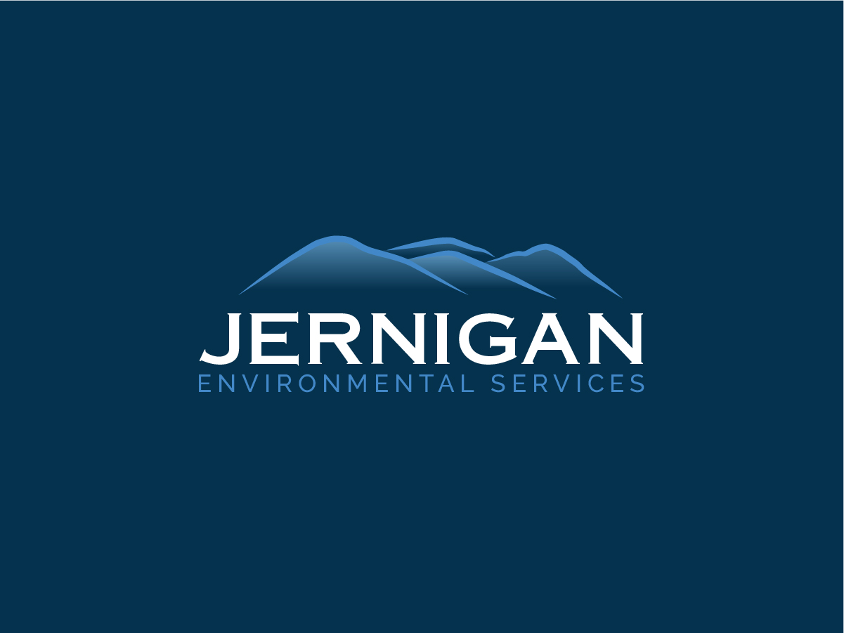 Diseño de Logo por Owltive para este proyecto | Diseño #35602591