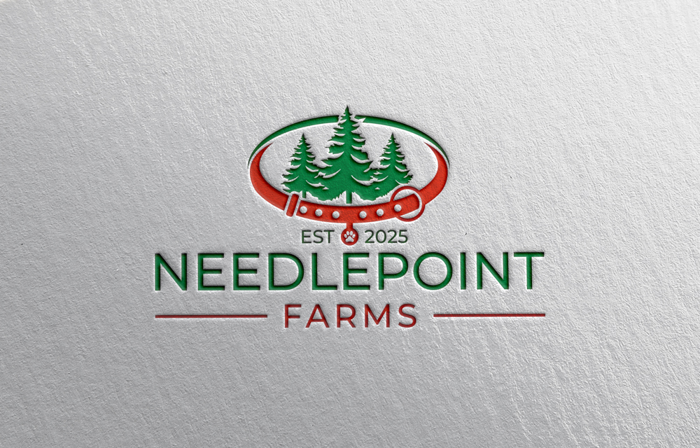Diseño de Logo por designfire para este proyecto | Diseño #35615414