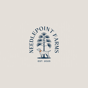 Logo-Design von USIAD ANAS für dieses Projekt | Design: #35609781
