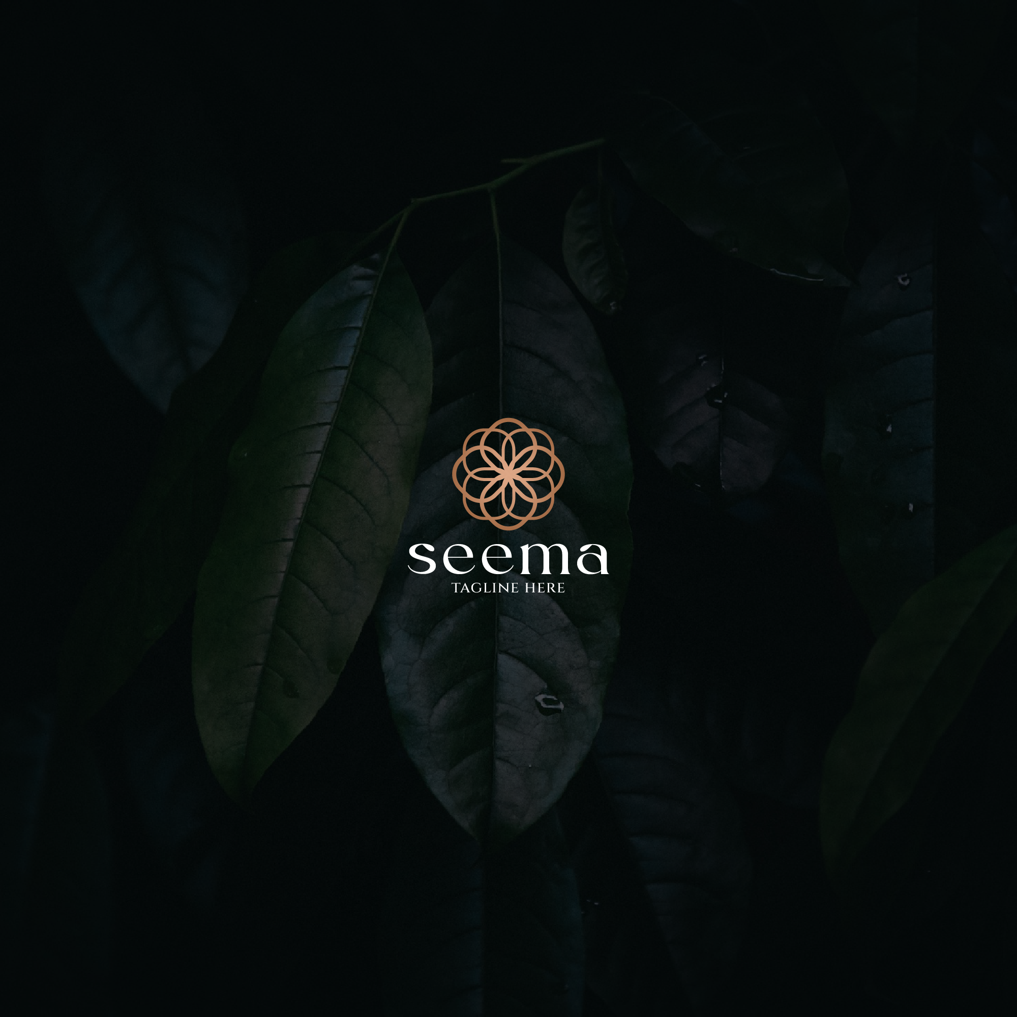 Logo Design by Echelon for this project | Design #35693103