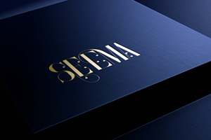Logo Design by GeekGroup for this project | Design: #35617205