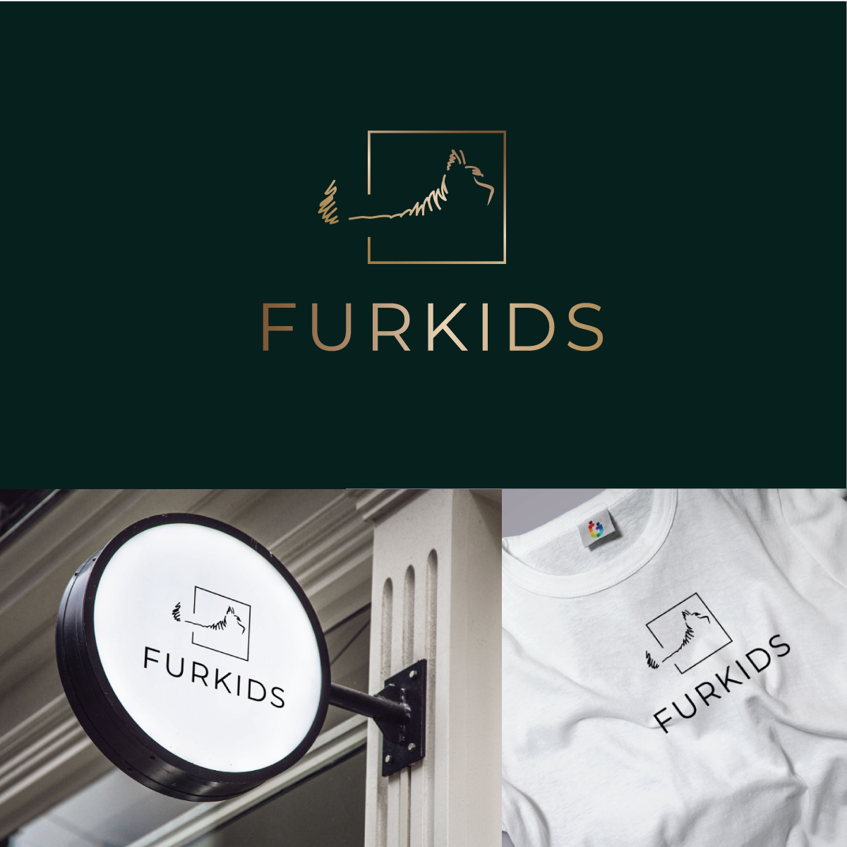 Logo Design by AbhishekkM'24 for this project | Design #35629718