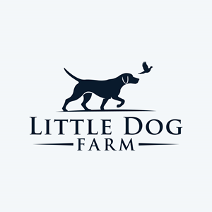 Logo Design by HF STUDIO