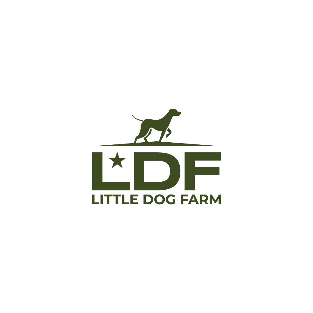 Logo Design by Jerwin Intac for this project | Design #35646536